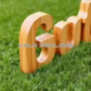 Placeholder